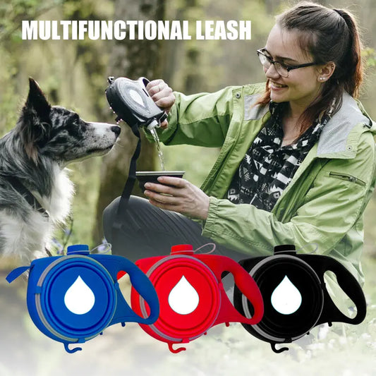 Versatile/multifunctional Pet Leash