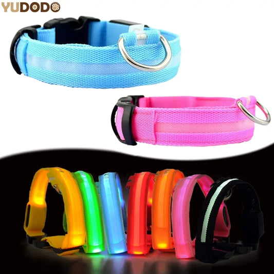 Nylon Dog Collar Leash with LED Glow-in-the-Dark Feature