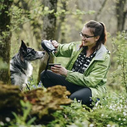 Versatile/multifunctional Pet Leash