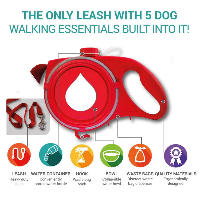 Versatile/multifunctional Pet Leash